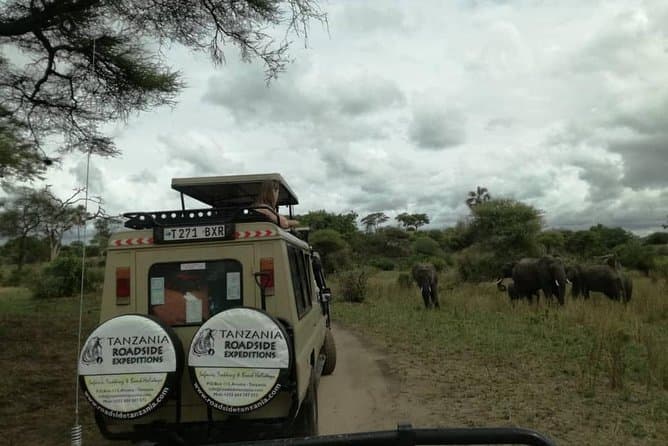 Epic Arusha Safari: Tarangire, Ngorongoro & Lake Manyara