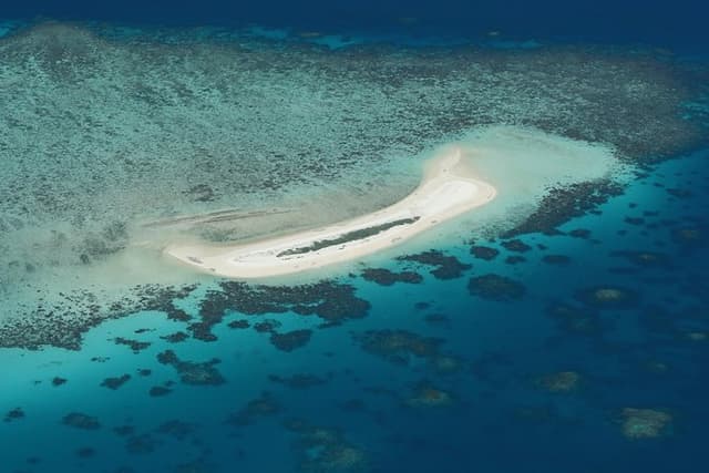 Seastar Luxury Outer Great Barrier Reef Island and Reef Tour