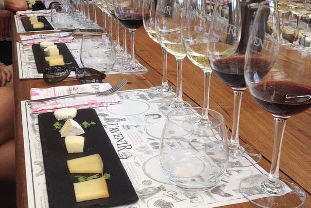 Daily Different small group WINE tour - STELLENBOSCH PICKUP only