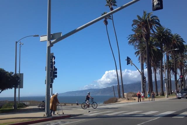 3.5 Hour Coastal Tour of Santa Monica, Venice Beach and Malibu