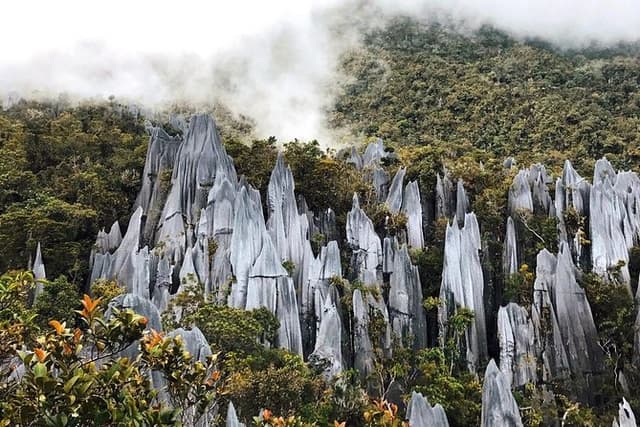 3 Days 2 Nights Unesco World Heritage Mulu 4 Showcaves