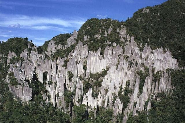 4 Days 3 Nights Mulu 4 Showcaves with Pinnacles