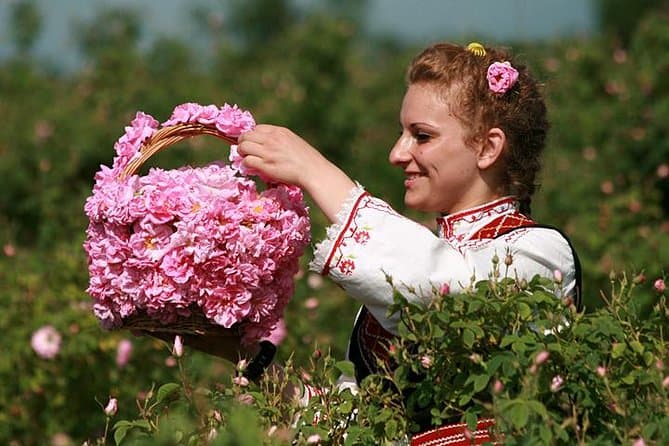 Best Kazanluk Rose Valley Tours from Sofia, Bulgaria