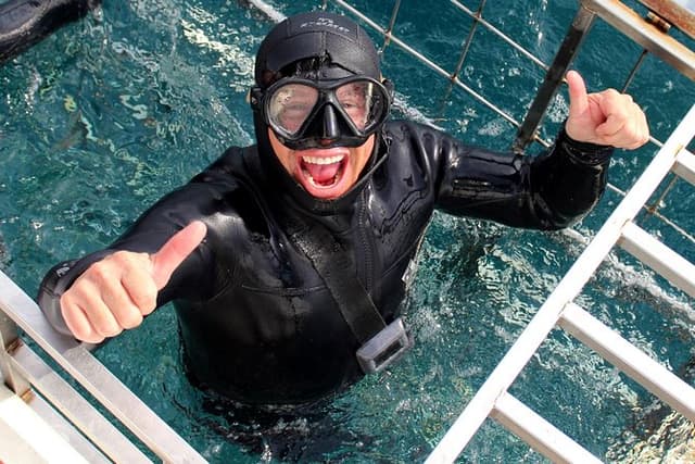 Shark Cage Diving and Viewing with transport from Cape Town