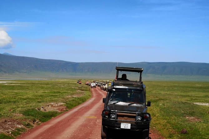 Best Lake Manyara Safari Tours from Moshi