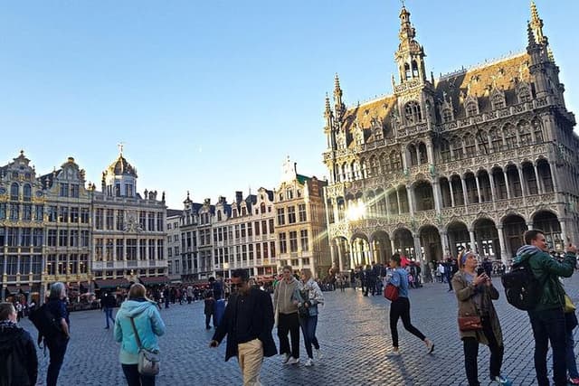 Brussels: Private City Tour by Car