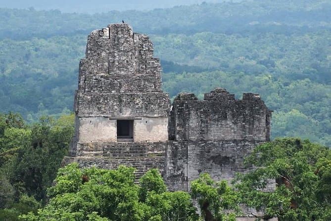 Compare Best Caracol Ruins Tours Near Hopkins