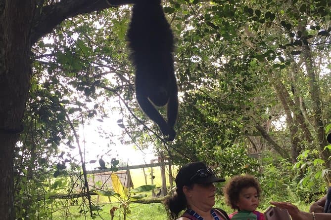 Howler Monkey Sanctuary