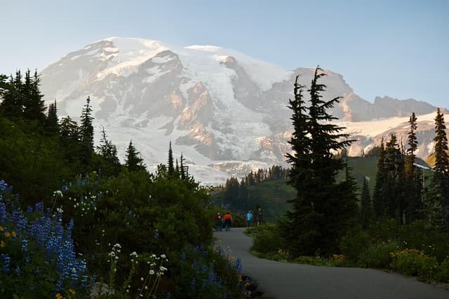 Best of Mount Rainier National Park from Seattle: All-Inclusive Small-Group Tour