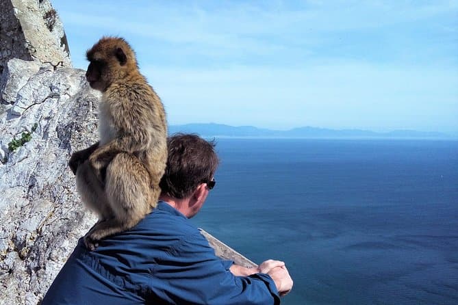 Marbella to Gibraltar Day Trip: Rock, Views & More
