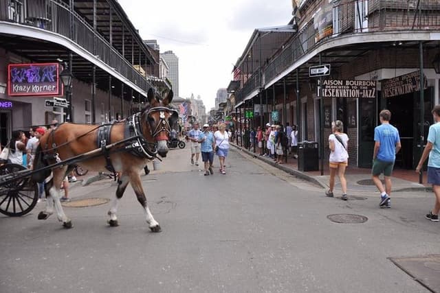 New Orleans French Quarter and More Carriage Ride