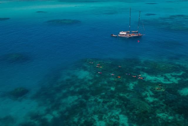 Ocean Free 25 guest Great Barrier Reef & visit Green Island Tour