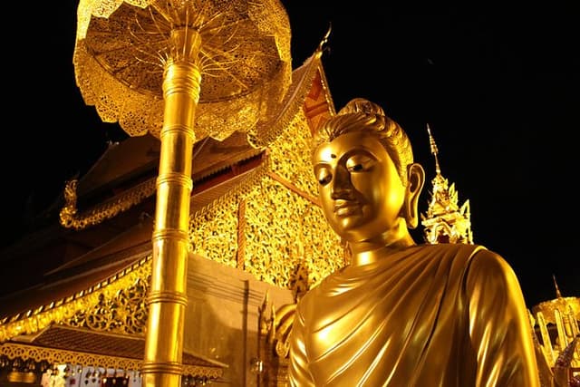 Best seller!! Amazing Night tour, Doi Suthep + Wat umong - Top Must visit!