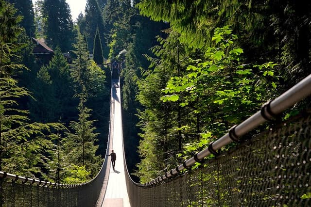 Vancouver City Tour plus Granville Island & Capilano Bridge