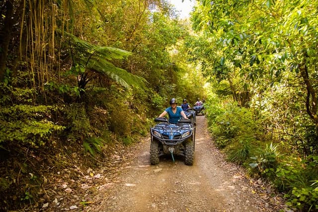 Quad Bike - Farm Forest Ride