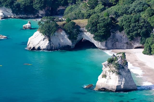 Coromandel Private Day Tour from Auckland.