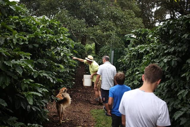 Small, Hands-on Coffee Tour