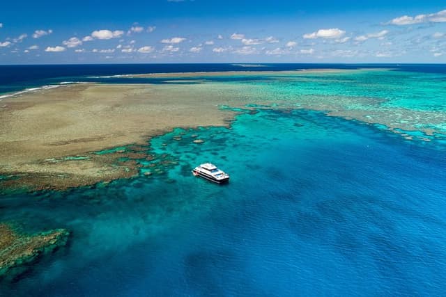 Calypso Outer Great Barrier Reef Cruise from Port Douglas