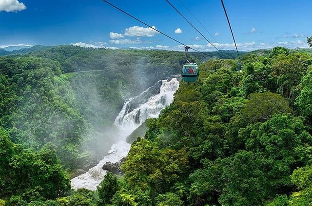 Skyrail Rainforest Cableway Day Trip from Port Douglas