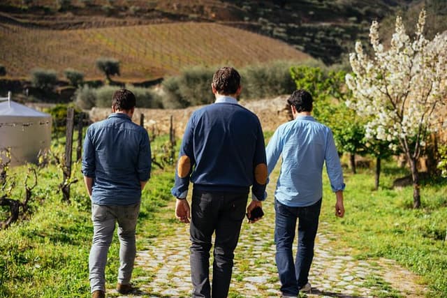 Douro Valley Private Day Trip including Boat Ride & Wine Tasting