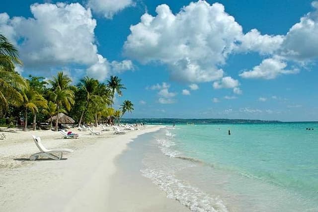 Seven Mile Beach and Rick’s Cafe Private Tour