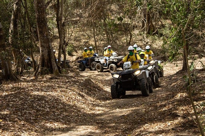 Compare Top Jungle ATV & Bike Adventures