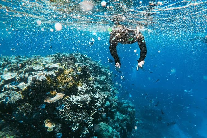 La Jolla Kayak Tour