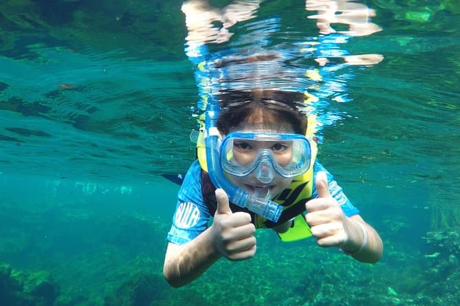 Best Cenote Adventures in Playa del Carmen & Riviera Maya