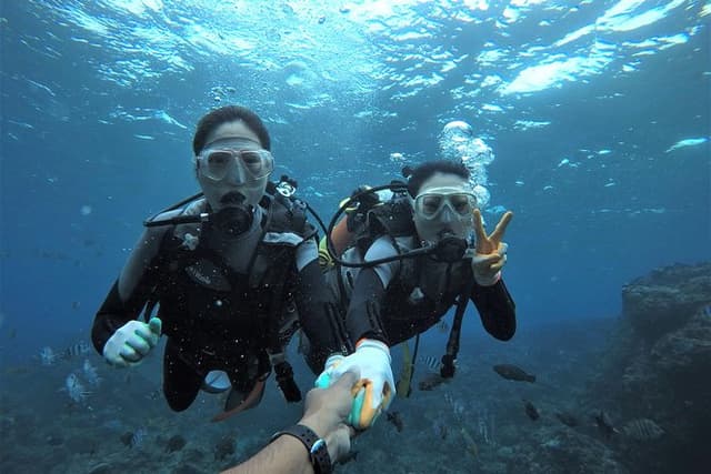 Blue Cave Area Experience Diving!Free feeding & photo images Chinese guide available!1 group with a dedicated instructor