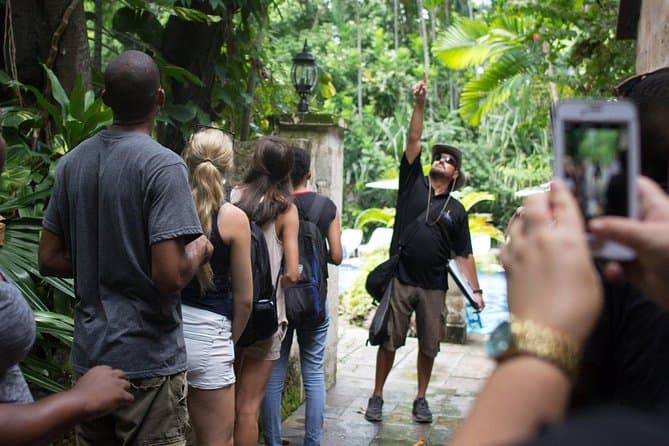 Best Nassau City Tours & Authentic Bahamas Experiences