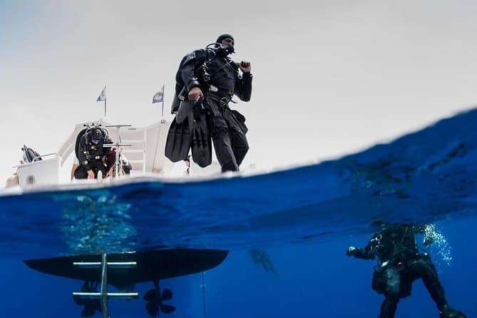 Zenobia Wreck Dive