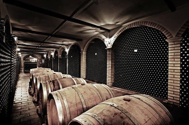 Cantine Bosco Nestore - Wine tour e Tasting