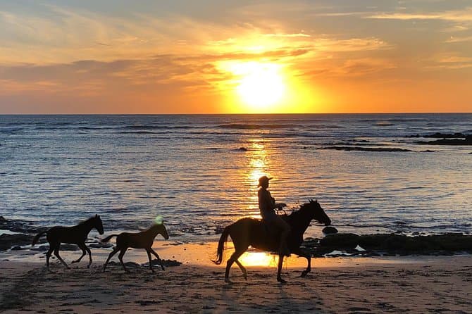 Ultimate Tamarindo Surf Adventures & Costa Rica Vacations
