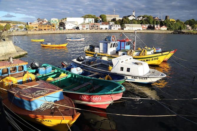 Chiloé Day Trip Adventure