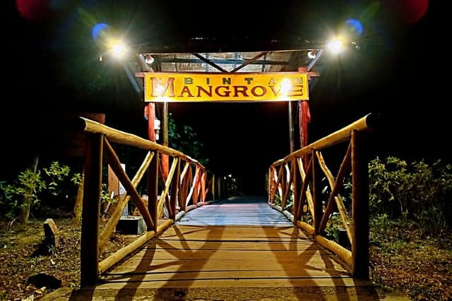 Bintan Fireflies Discovery Tour