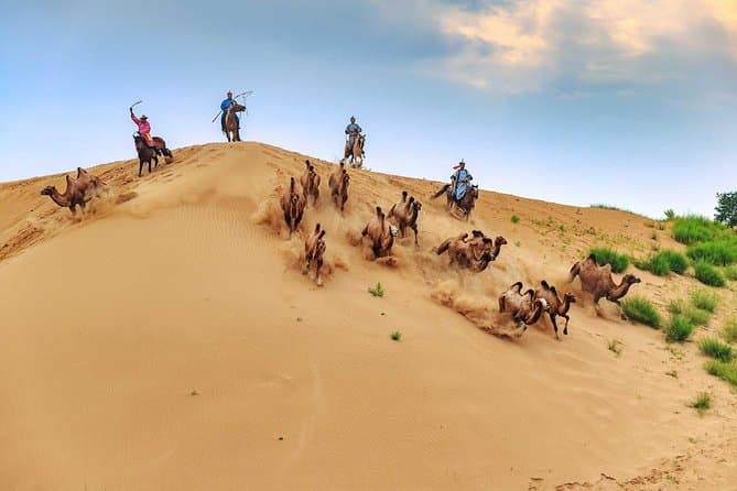 Epic Gobi Desert Adventures from Ulaanbaatar