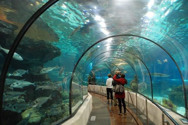 AquaRio Small Group Guided Tour with entrance and transfer