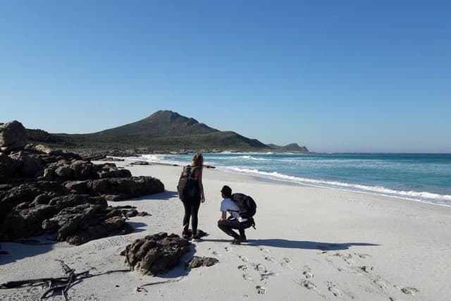 Hiking Cape of Good Hope & Cape Point Private Full Day Tour