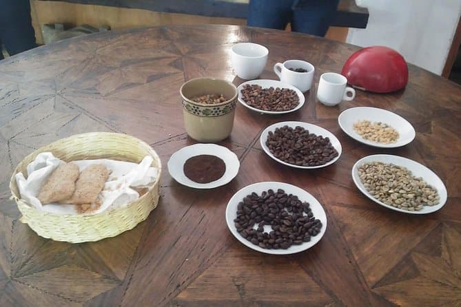 Best Xalapa Xico Coatepec Tour: Veracruz Coffee & Culture