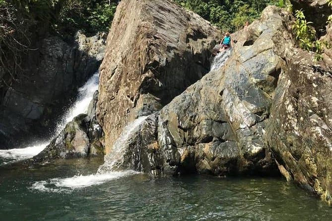 El Yunque Rainforest Tour from Fajardo: Must-Do