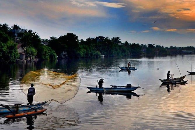 Best Negombo Mangrove Boat Safaris Near Colombo