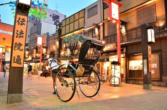 Best Tokyo Private Car Tours & Options