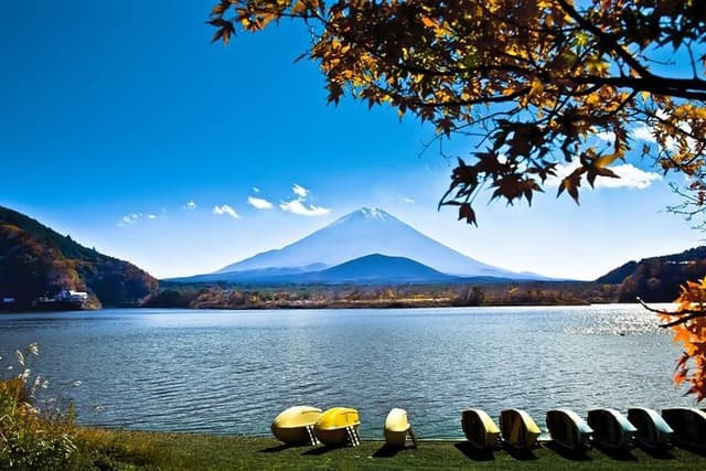 Fuji Hakone Private Tour with bilingual chauffeur