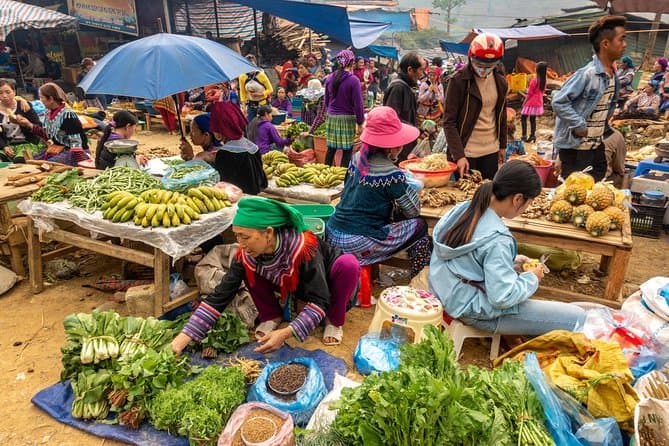 Bac Ha Market Tour Sapa: Culture & Color
