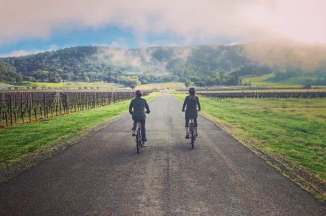 Sonoma Valley Pedal Assist Bike Tour with Lunch