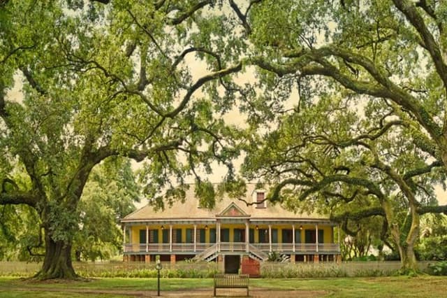 Small-Group Laura and Whitney Plantation Tour from New Orleans