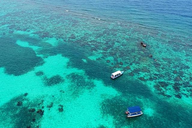 Roatan 3 Stop Snorkeling Adventure, Shipwreck, Starfish & Blue Channel
