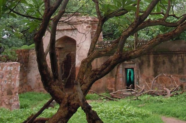 Delhi Haunted and Creepy Ruins Discovery