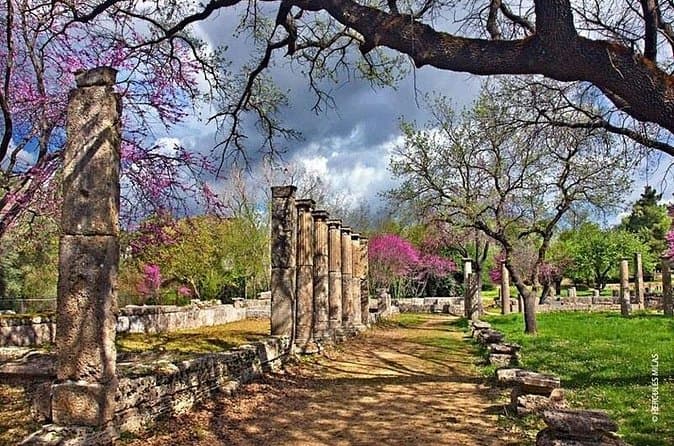 Explore Olympia & Katakolo Wine Tours