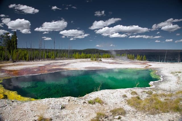 Yellowstone National Park Group Tour